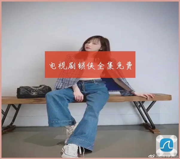 电视剧锁侠全集免费