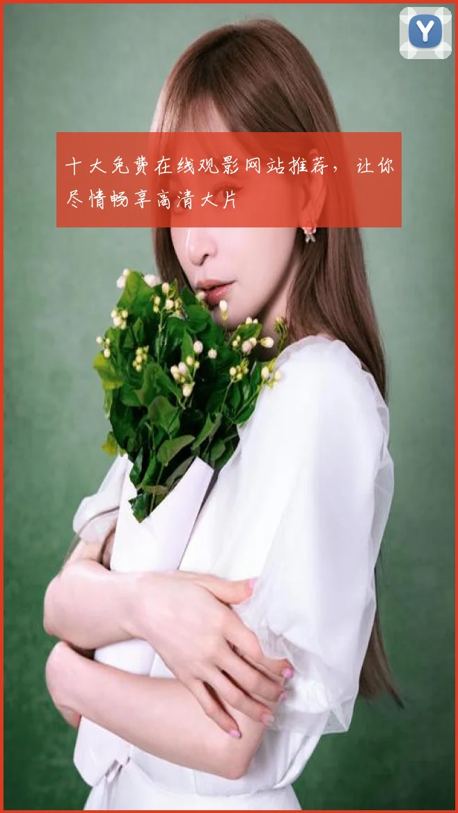 十大免费在线观影网站推荐,让你尽情畅享高清大片
