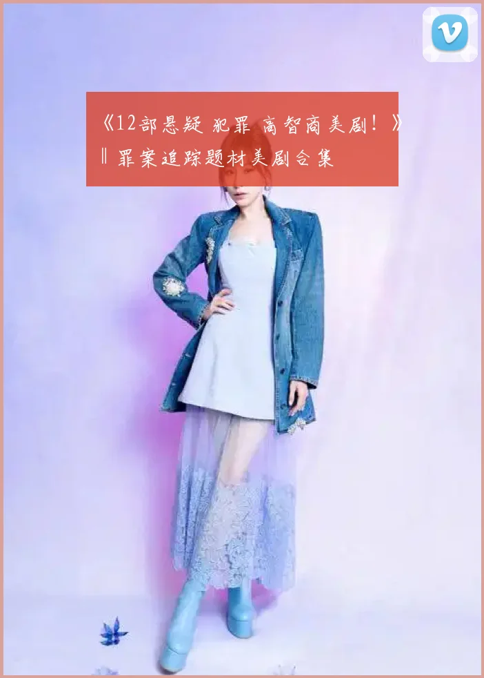 《12部悬疑 犯罪 高智商美剧!》‖罪案追踪题材美剧合集