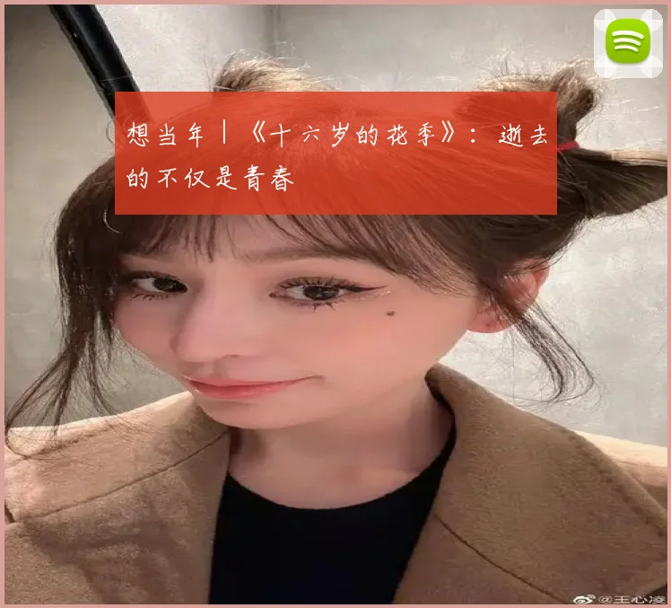 想当年｜《十六岁的花季》：逝去的不仅是青春