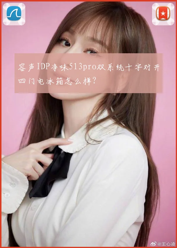 容声IDP净味513pro双系统十字对开四门电冰箱怎么样?