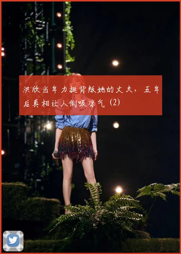 洪欣当年力挺背叛她的丈夫,五年后真相让人倒吸凉气 (2)