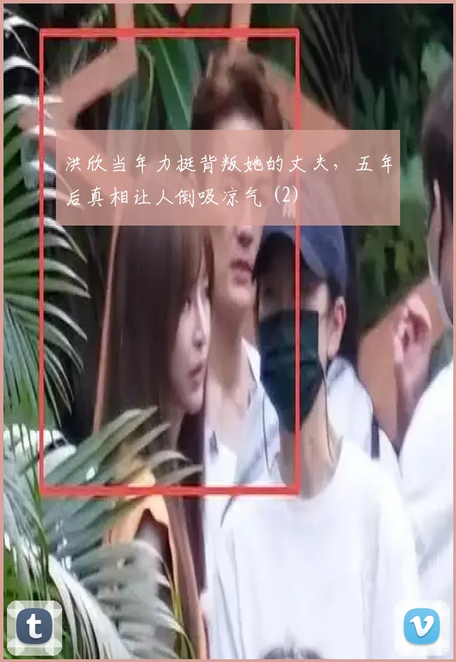 洪欣当年力挺背叛她的丈夫,五年后真相让人倒吸凉气 (2)