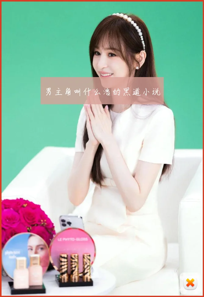 男主角叫什么浩的黑道小说
