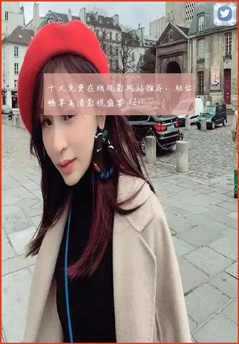十大免费在线观影网站推荐，助你畅享高清影视盛宴 (2)