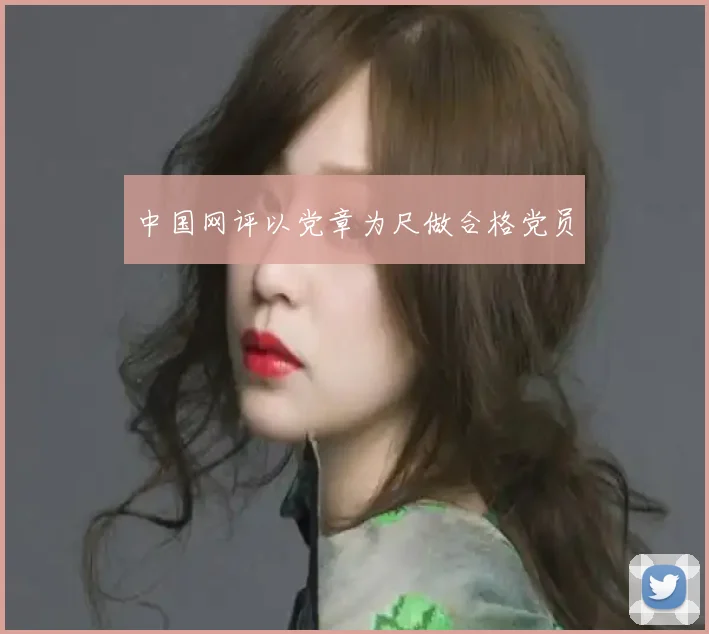 中国网评以党章为尺做合格党员