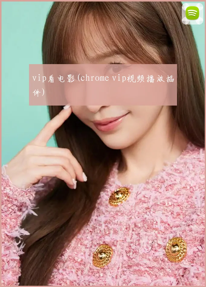 vip看电影(chrome vip视频播放插件)