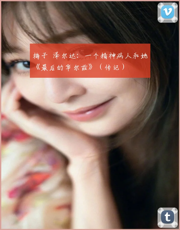 梅子 泽尔达：一个精神病人和她《最后的华尔兹》（传记）