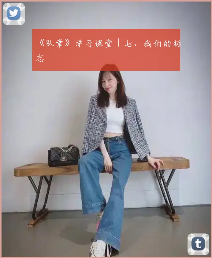 《队章》学习课堂|七、我们的标志