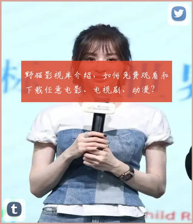 野猫影视库介绍,如何免费观看和下载任意电影、电视剧、动漫?