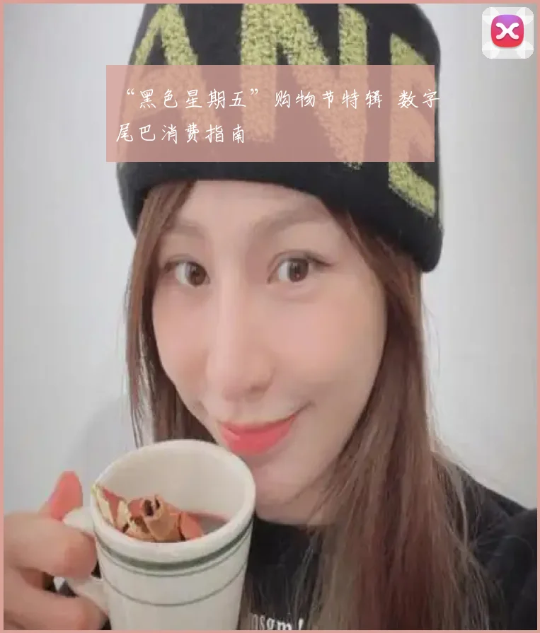 “黑色星期五”购物节特辑 数字尾巴消费指南